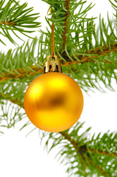 Similar image 1538748