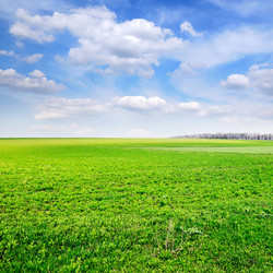 Similar image 1538751