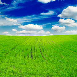 Similar image 1538757