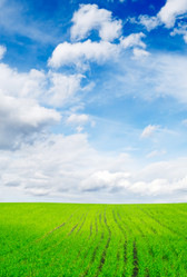 Similar image 1538760