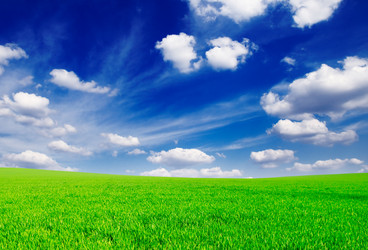 Similar image 1538766