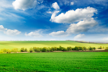 Similar image 1538771