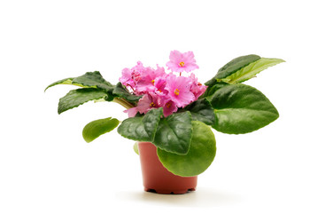 Similar image 1538778