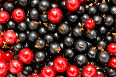 Similar image 1538781