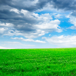 Similar image 1538783