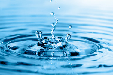 Similar image 1538799