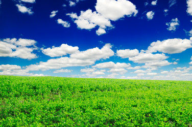 Similar image 1538801