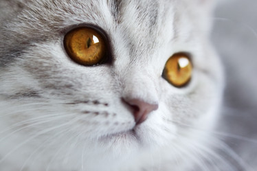 Similar image 1538940