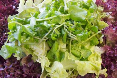 Similar image 1538949