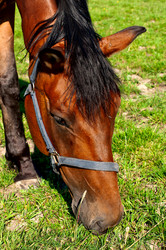 Similar image 1538976