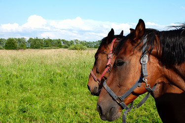 Similar image 1538977