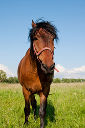 Similar image 1538979