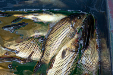 Similar image 1538982