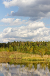 Similar image 1538993