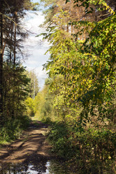 Similar image 1538994