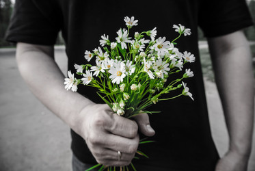 Similar image 1539011