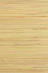 Similar image 1539042