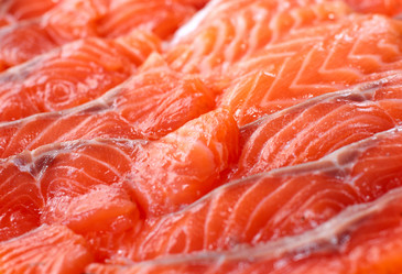 Similar image 1539044