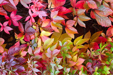 Similar image 1539170