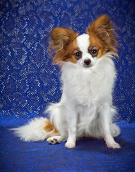 Similar image 1539232