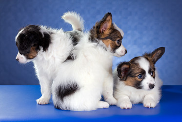 Similar image 1539237