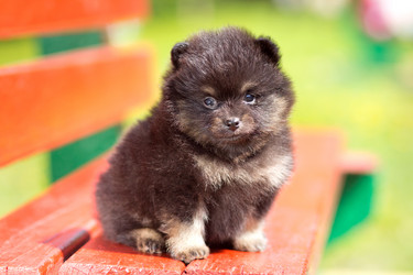 Similar image 1539242