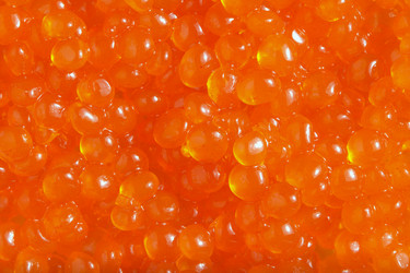 Similar image 1539252