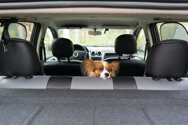 Similar image 1539254