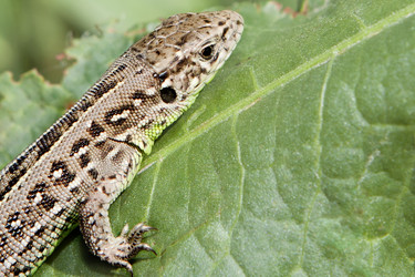 Similar image 1539292