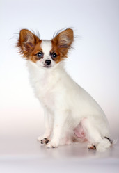 Similar image 1539303