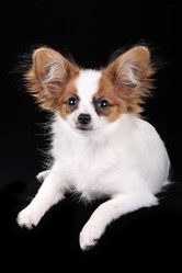 Similar image 1539308