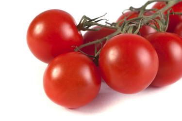 Similar image 1539332