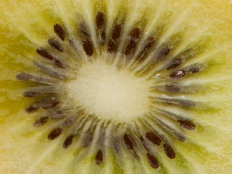 Similar image 1539370