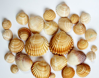 Similar image 1539403