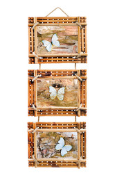 Similar image 1539416