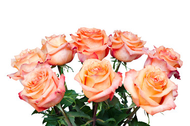 Similar image 1539417