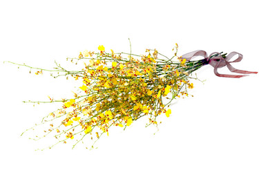 Similar image 1539420