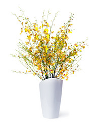 Similar image 1539421