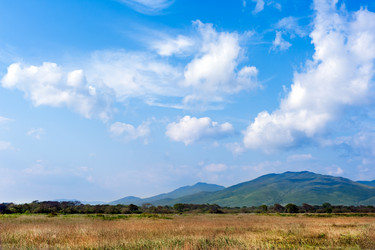 Similar image 1539435