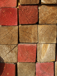 Similar image 1539490