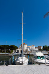 Similar image 1539503