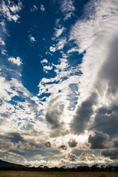 Similar image 1539509