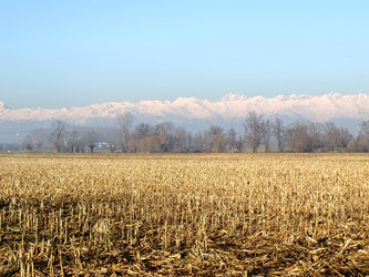 Similar image 1539524