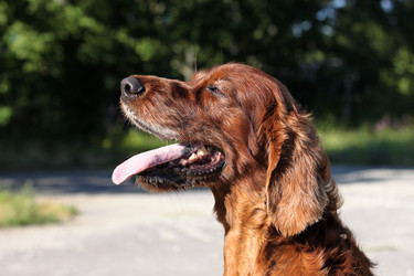 Similar image 1539555