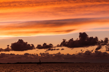 Similar image 1539615