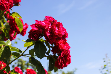 Similar image 1539635