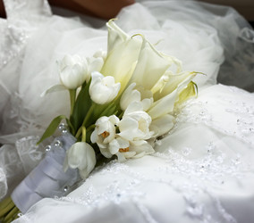 Similar image 1539736