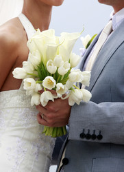 Similar image 1539737