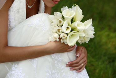 Similar image 1539744