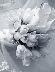 Similar image 1539745